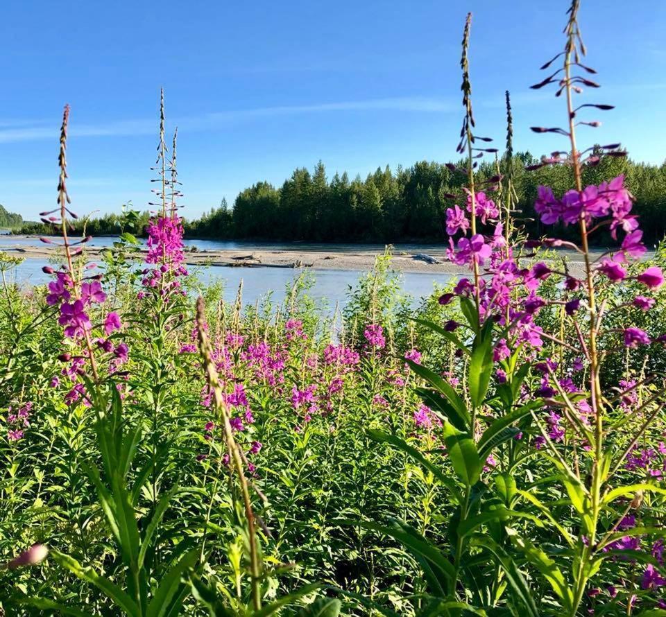 Susitna River Lodging, Riverside Cabins Talkeetna Luaran gambar