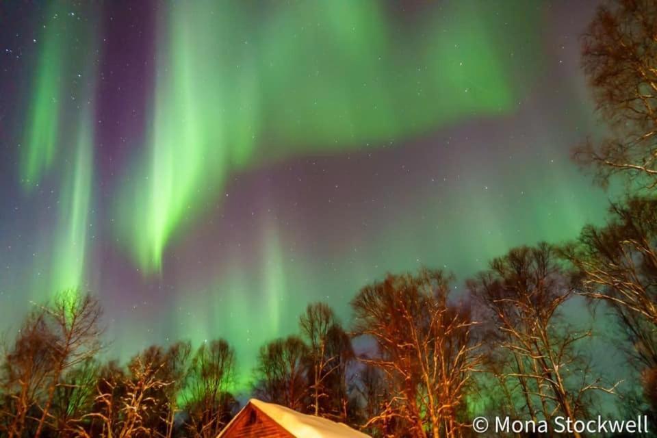 Susitna River Lodging, Riverside Cabins Talkeetna Luaran gambar